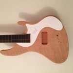 pick guard shape template