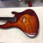 pickup guard choice 1