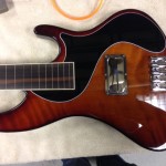 my pick guard choice