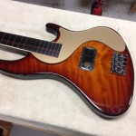 pick guard choice 2