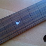 ebony fingerboard